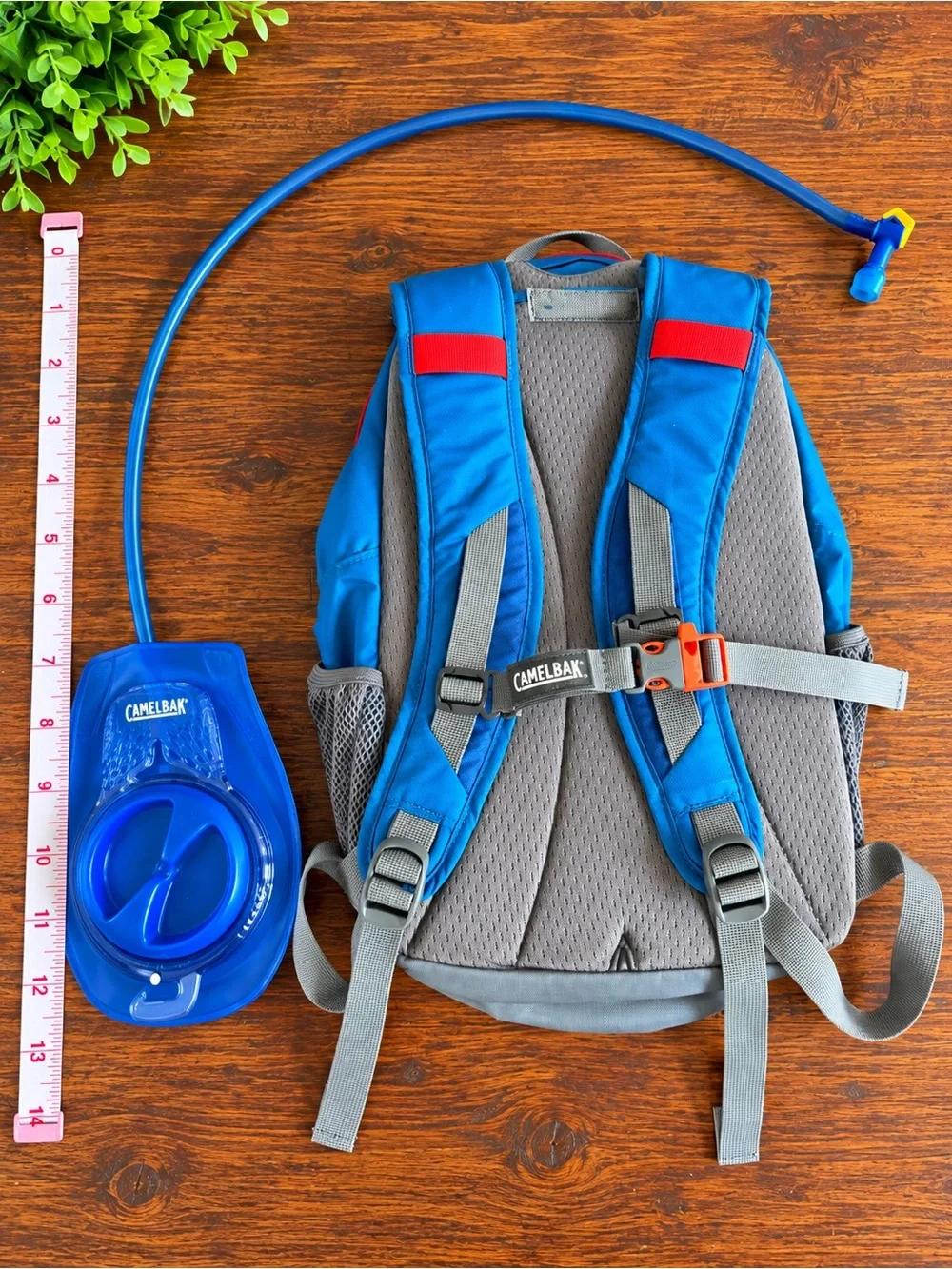 CamelBak Scout Hydration Backpack Hiking Pack + Reservoir Scout